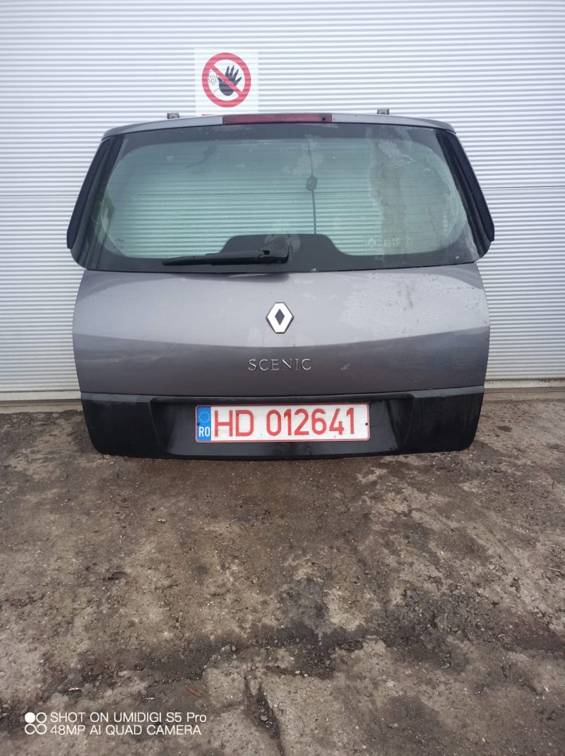 Haion complet fără rugină , Renault Scenic 2