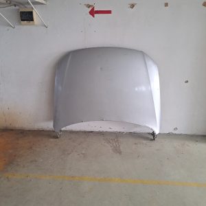 Capota ,BMW E90 prezinta urme de rugina