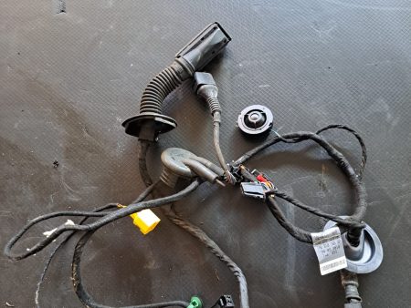 Cablaj instalație electrica ușă față stânga Audi A5 Facelift COD 8T8971029AN FACTURA SI GARANTIE